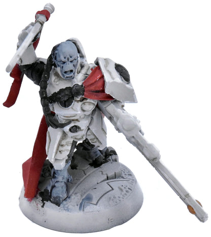 TAU EMPIRE Cadre Fireblade #1 Warhammer 40K 8282