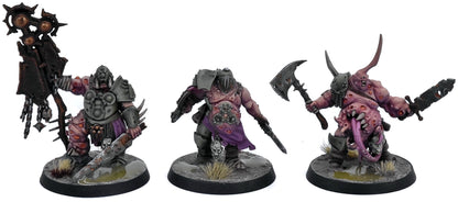 MAGGOTKIN OF NURGLE 3 Putrid Blightkings #1 WELL PAINTED Warhammer Sigmar 8435