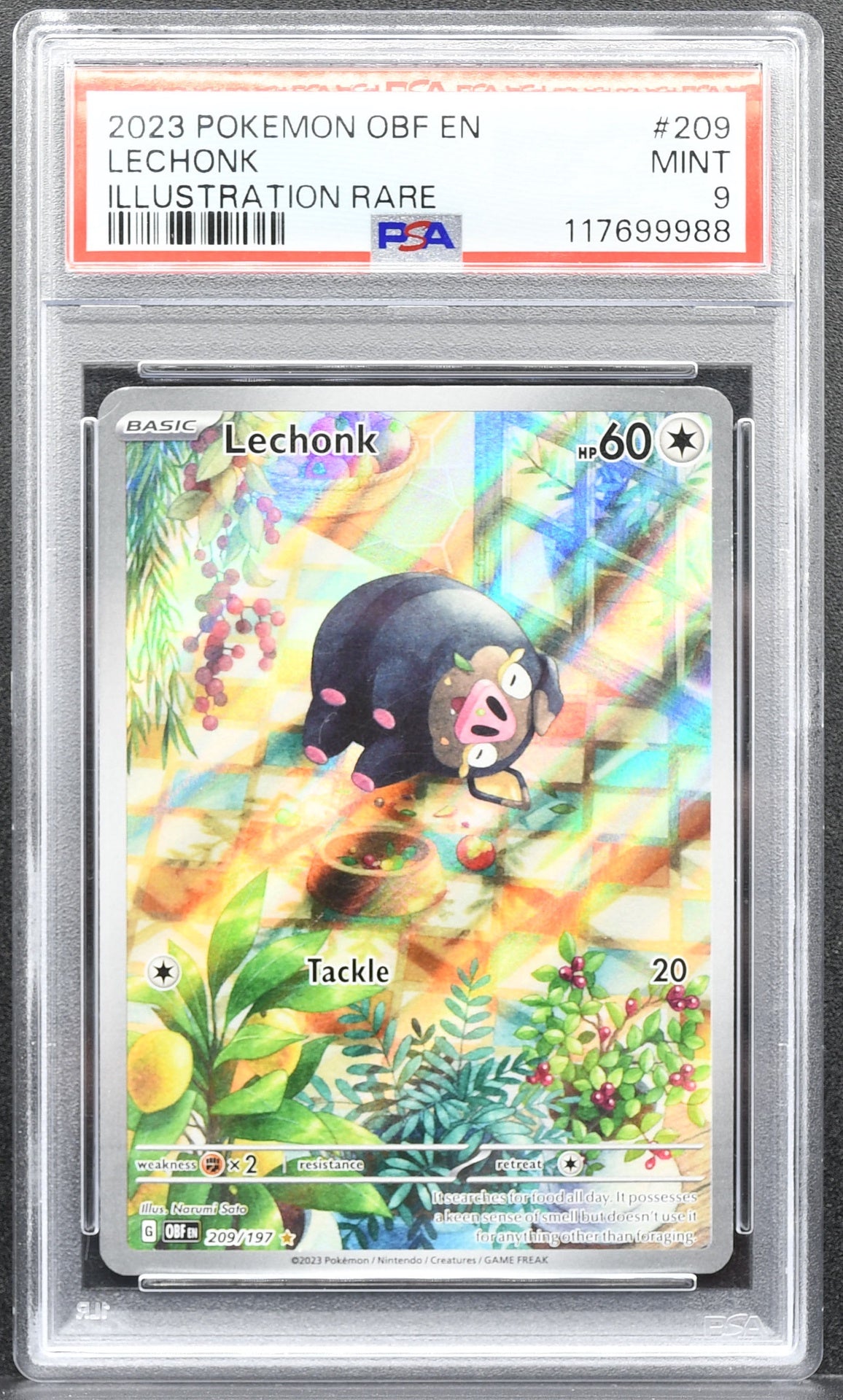 Pokemon TCG Lechonk 209/197 PSA 9 Obsidian Flames Illustration Rare