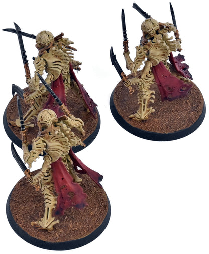 OSSIARCH BONEREAPERS 3 Necropolis Stalkers #1 WELL PAINTED Warhammer Sigmar 6023