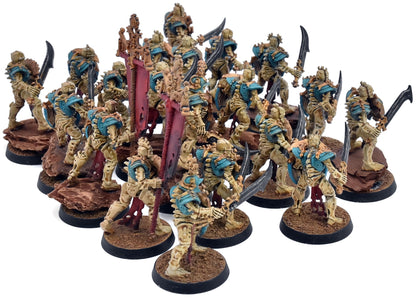OSSIARCH BONEREAPERS 20 Mortek Guard #1 WELL PAINTED Warhammer Sigmar 6221