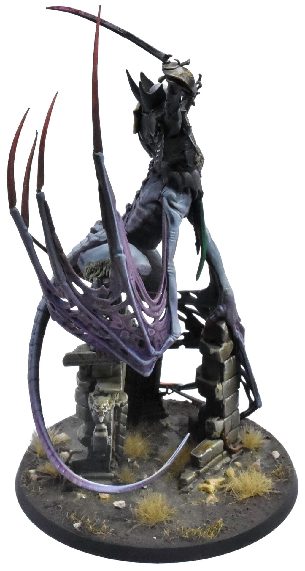 SOULBLIGHT GRAVELORDS Vengorian Lord #1 PRO PAINTED Warhammer Sigmar 9326