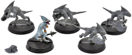 SERAPHON 5 Skinks #1 Warhammer Sigmar 4833