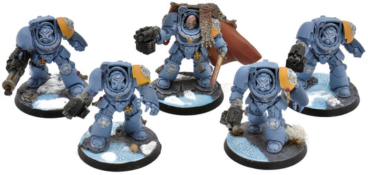 SPACE WOLVES 5 Terminator Squad #1 WELL PAINTED Warhammer 40K 4901
