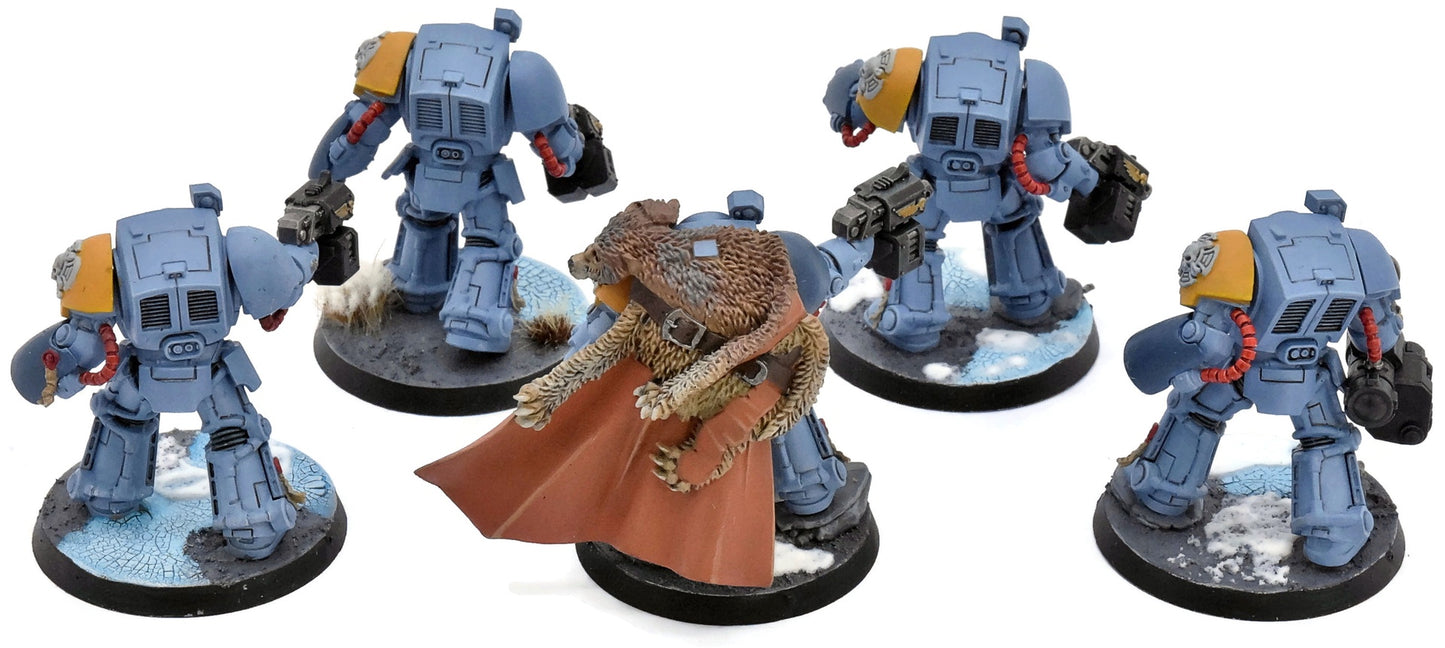 SPACE WOLVES 5 Terminator Squad #1 WELL PAINTED Warhammer 40K 4901