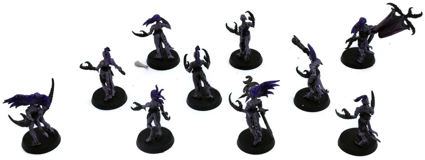 HEDONITES OF SLAANESH 10 Daemonettes Of Slaanesh #1 Warhammer Sigmar 9586
