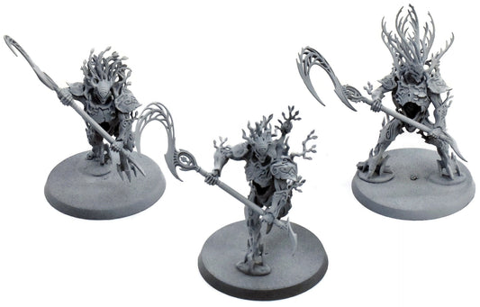SYLVANETH 3 Kurnoth Hunters #2 Warhammer Sigmar 5236