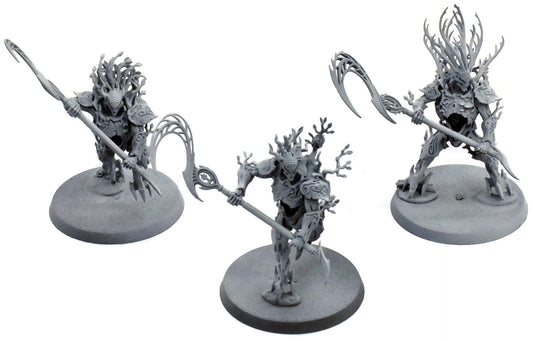 SYLVANETH 3 Kurnoth Hunters #2 Warhammer Sigmar 5236