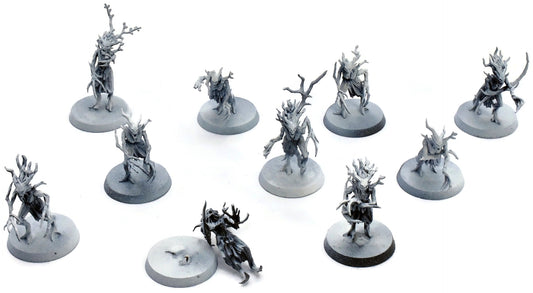 SYLVANETH 10 Dryads #3 Warhammer Sigmar 5311
