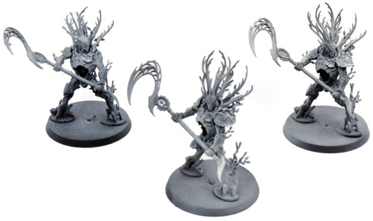 SYLVANETH Kurnoth Hunters #3 Warhammer Sigmar 5335