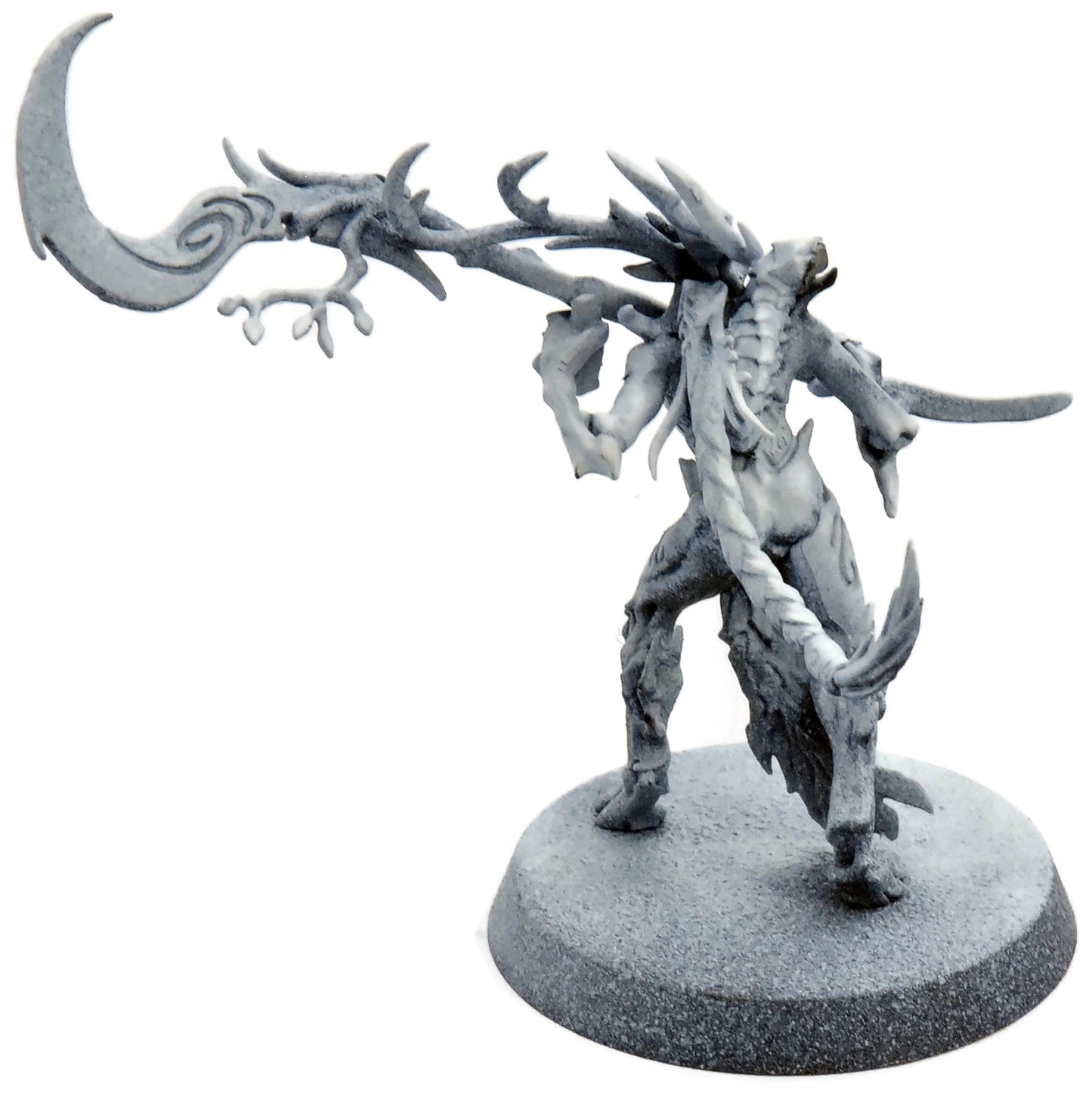 SYLVANETH Branchwych #1 Warhammer Sigmar 5427