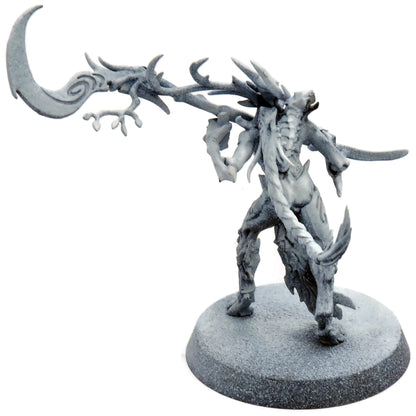 SYLVANETH Branchwych #1 Warhammer Sigmar 5427