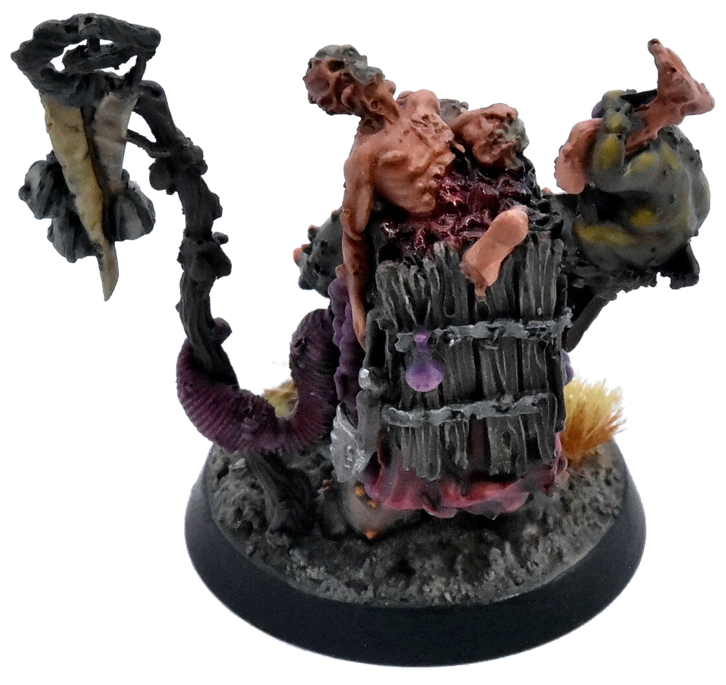 MAGGOTKIN OF NURGLE Festus The Leechlord #1 WELL PAINTED Warhammer Sigmar 9999