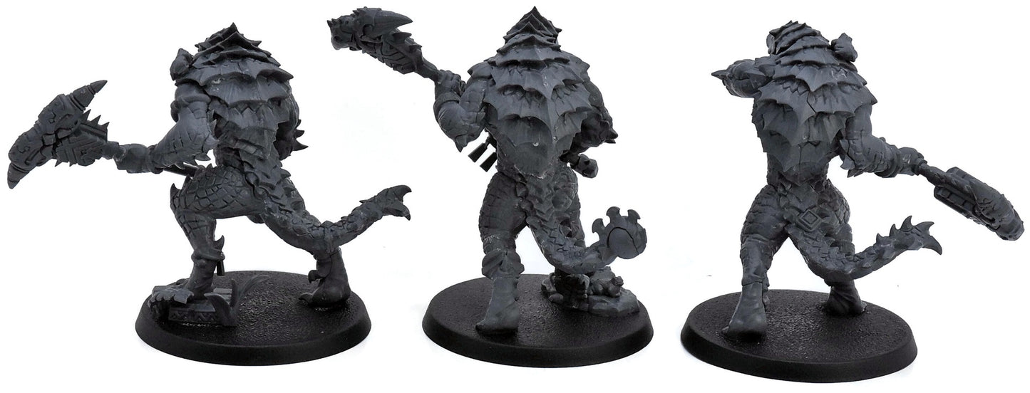 SERAPHON 3 Kroxigor Warspanned #1 Warhammer Sigmar 6870