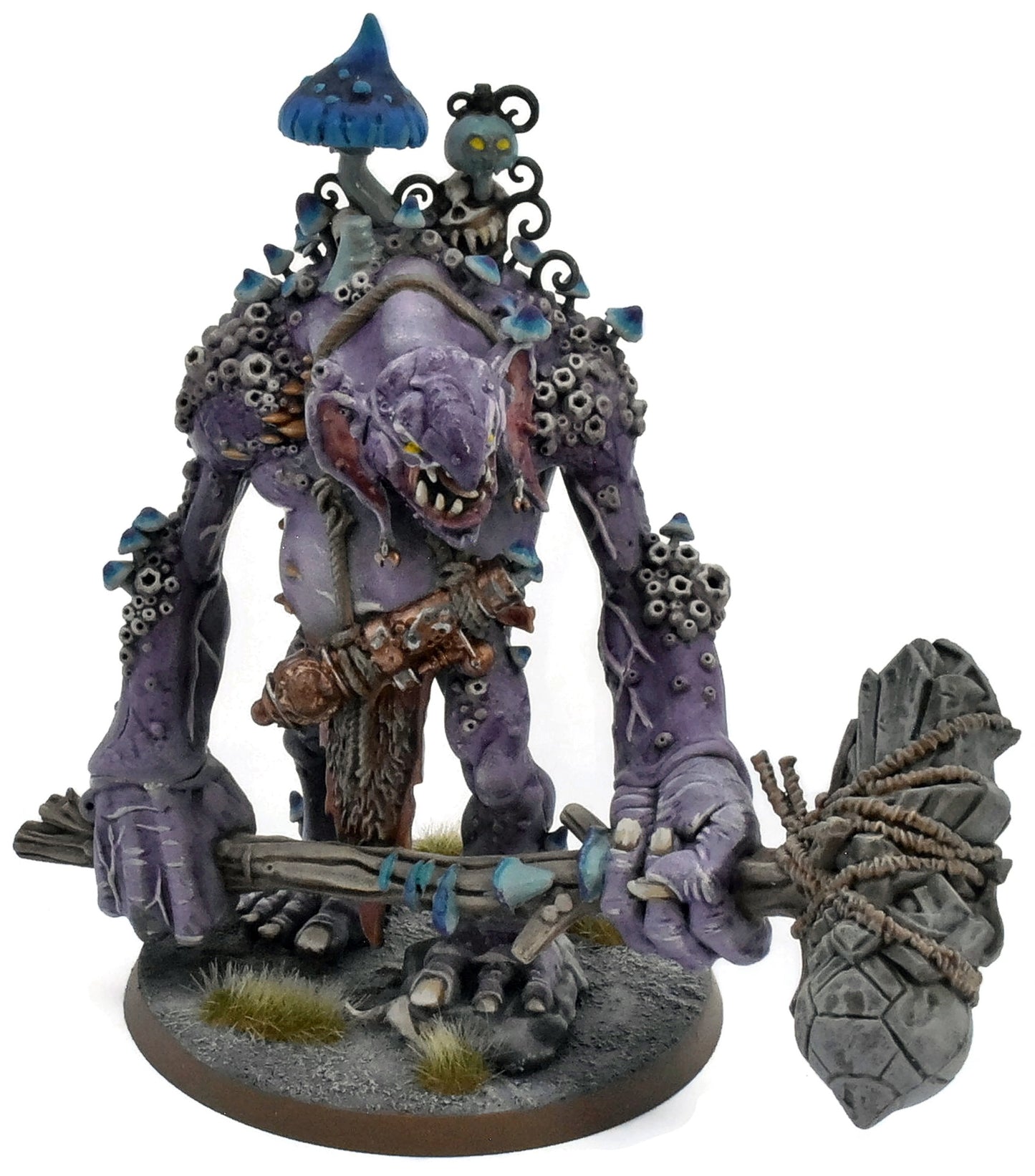 GLOOMSPITE GITZ Dankhold Trogboss #1 WELL PAINTED Warhammer Sigmar 5700