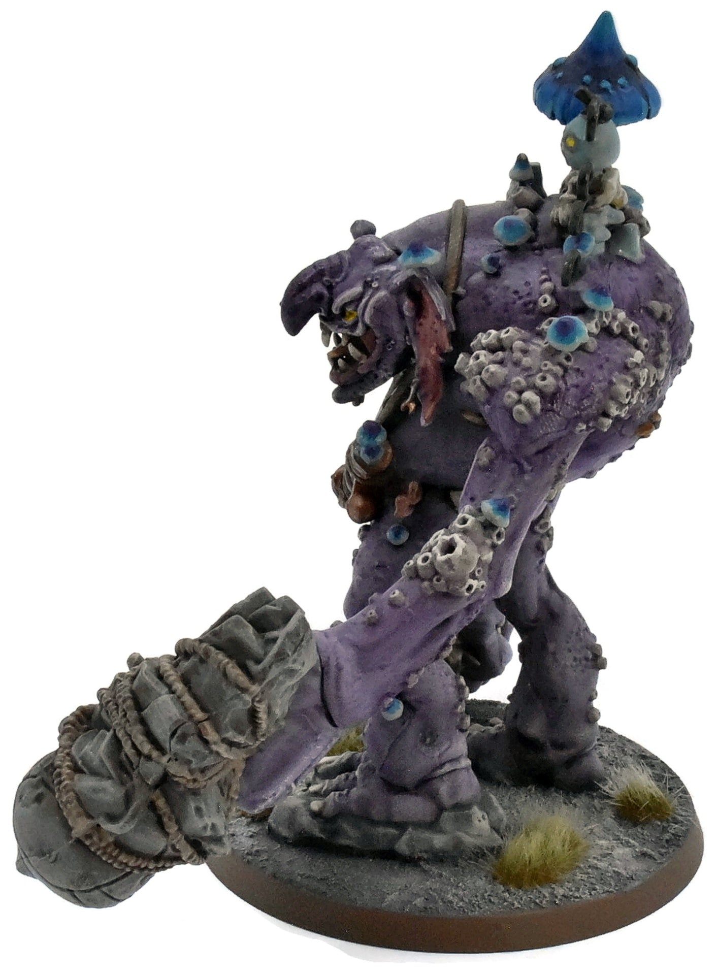 GLOOMSPITE GITZ Dankhold Trogboss #1 WELL PAINTED Warhammer Sigmar 5700