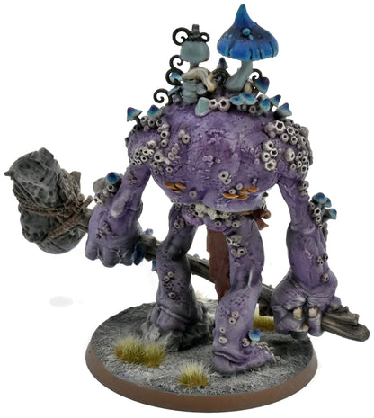 GLOOMSPITE GITZ Dankhold Trogboss #1 WELL PAINTED Warhammer Sigmar 5700