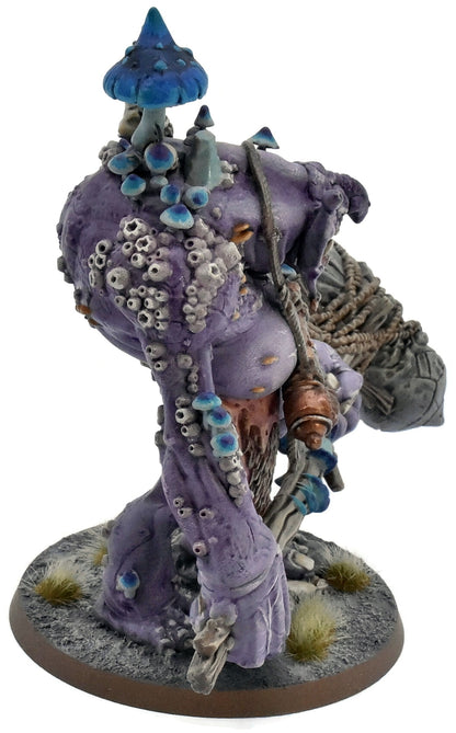 GLOOMSPITE GITZ Dankhold Trogboss #1 WELL PAINTED Warhammer Sigmar 5700