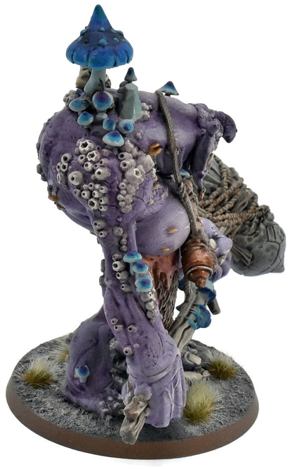 GLOOMSPITE GITZ Dankhold Trogboss #1 WELL PAINTED Warhammer Sigmar 5700
