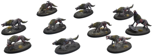 SOULBLIGHT GRAVELORDS 10 Dire Wolves #1 PRO PAINTED Sigmar 0742