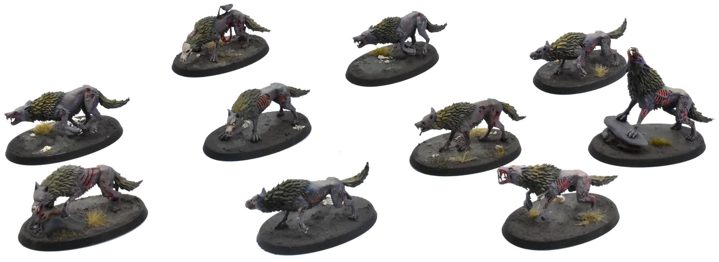 SOULBLIGHT GRAVELORDS 10 Dire Wolves #1 PRO PAINTED Sigmar 0742