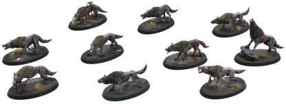 SOULBLIGHT GRAVELORDS 10 Dire Wolves #1 PRO PAINTED Sigmar 0742