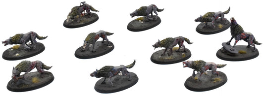 SOULBLIGHT GRAVELORDS 10 Dire Wolves #1 PRO PAINTED Sigmar 0742