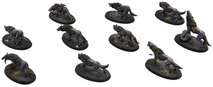 SOULBLIGHT GRAVELORDS 10 Dire Wolves #1 PRO PAINTED Sigmar 0742