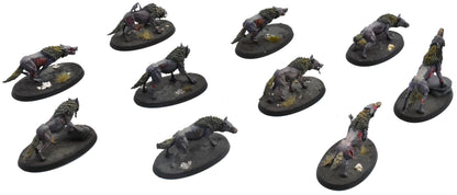 SOULBLIGHT GRAVELORDS 10 Dire Wolves #1 PRO PAINTED Sigmar 0742