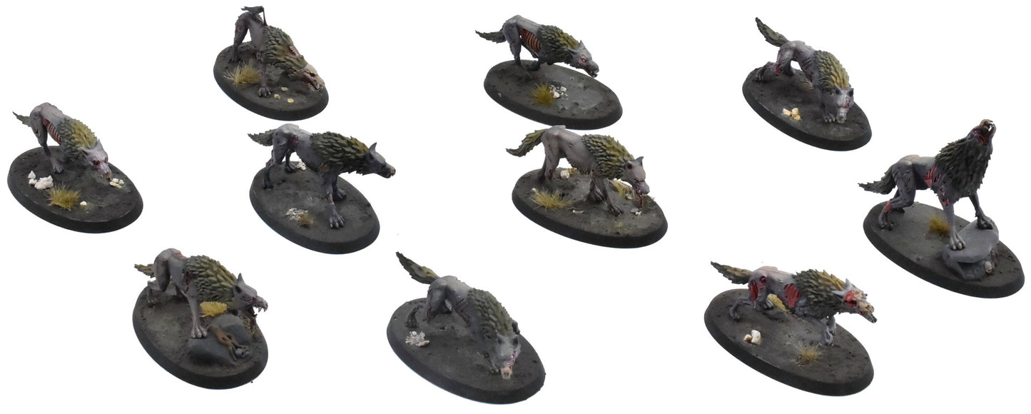 SOULBLIGHT GRAVELORDS 10 Dire Wolves #1 PRO PAINTED Sigmar 0742