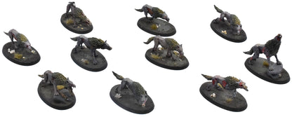 SOULBLIGHT GRAVELORDS 10 Dire Wolves #1 PRO PAINTED Sigmar 0742