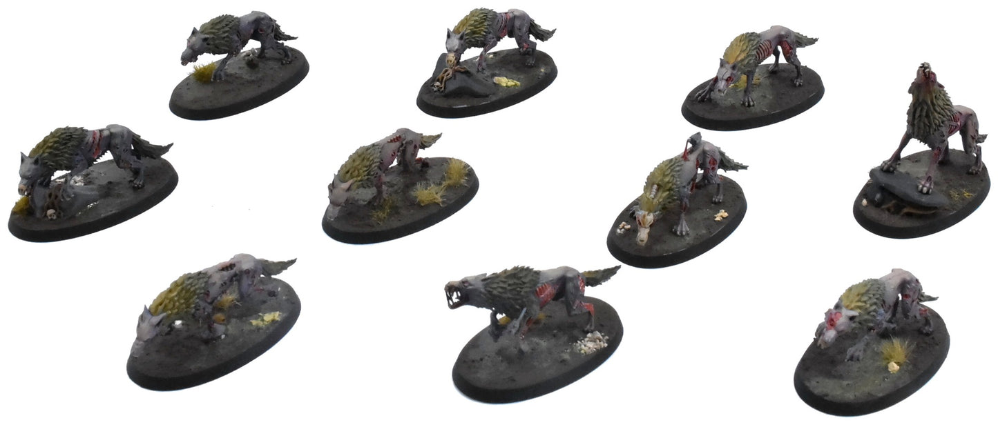 SOULBLIGHT GRAVELORDS 10 Dire Wolves #2 PRO PAINTED Sigmar 0759