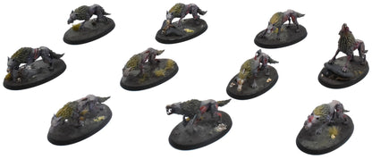 SOULBLIGHT GRAVELORDS 10 Dire Wolves #2 PRO PAINTED Sigmar 0759