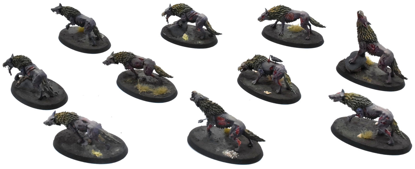 SOULBLIGHT GRAVELORDS 10 Dire Wolves #2 PRO PAINTED Sigmar 0759