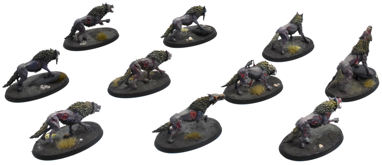 SOULBLIGHT GRAVELORDS 10 Dire Wolves #2 PRO PAINTED Sigmar 0759