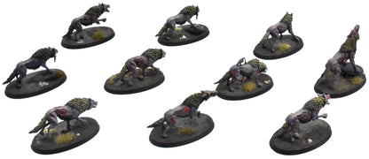 SOULBLIGHT GRAVELORDS 10 Dire Wolves #2 PRO PAINTED Sigmar 0759