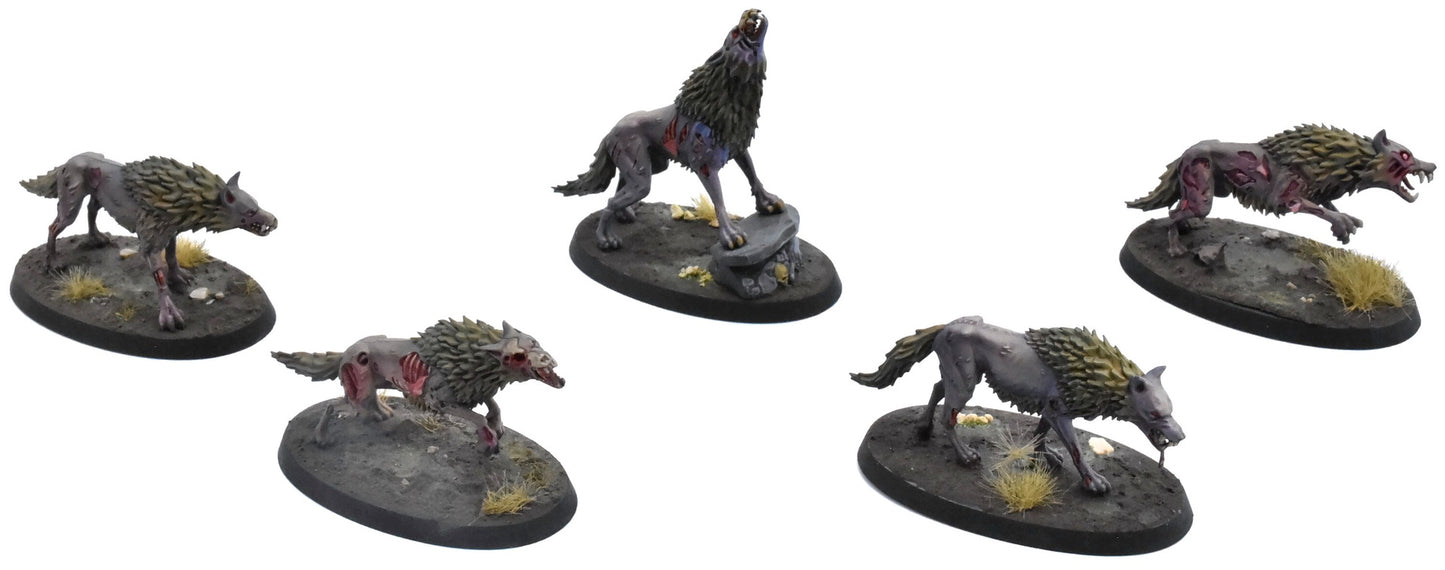 SOULBLIGHT GRAVELORDS 5 Dire Wolves #1 PRO PAINTED Sigmar 0766