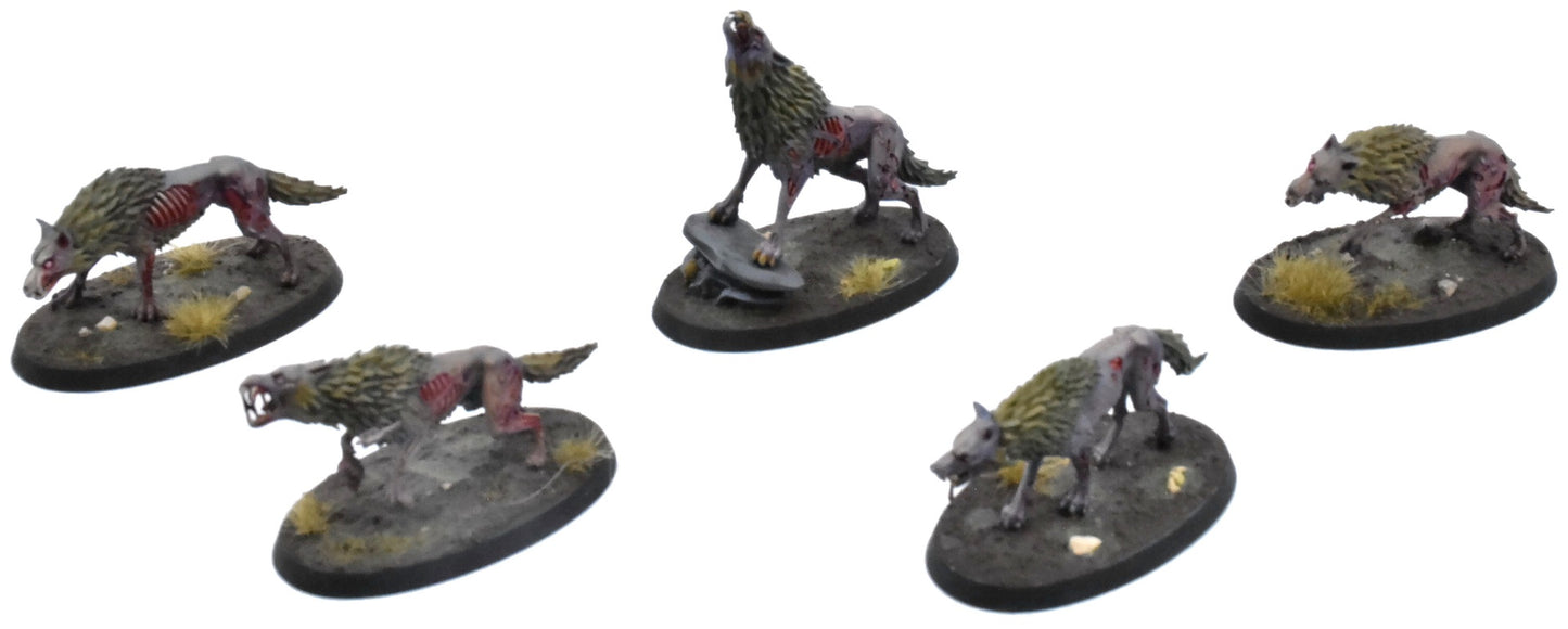 SOULBLIGHT GRAVELORDS 5 Dire Wolves #1 PRO PAINTED Sigmar 0766