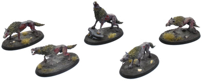 SOULBLIGHT GRAVELORDS 5 Dire Wolves #1 PRO PAINTED Sigmar 0766