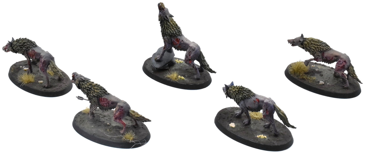 SOULBLIGHT GRAVELORDS 5 Dire Wolves #1 PRO PAINTED Sigmar 0766
