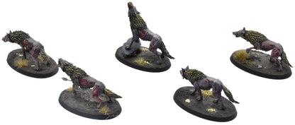 SOULBLIGHT GRAVELORDS 5 Dire Wolves #1 PRO PAINTED Sigmar 0766