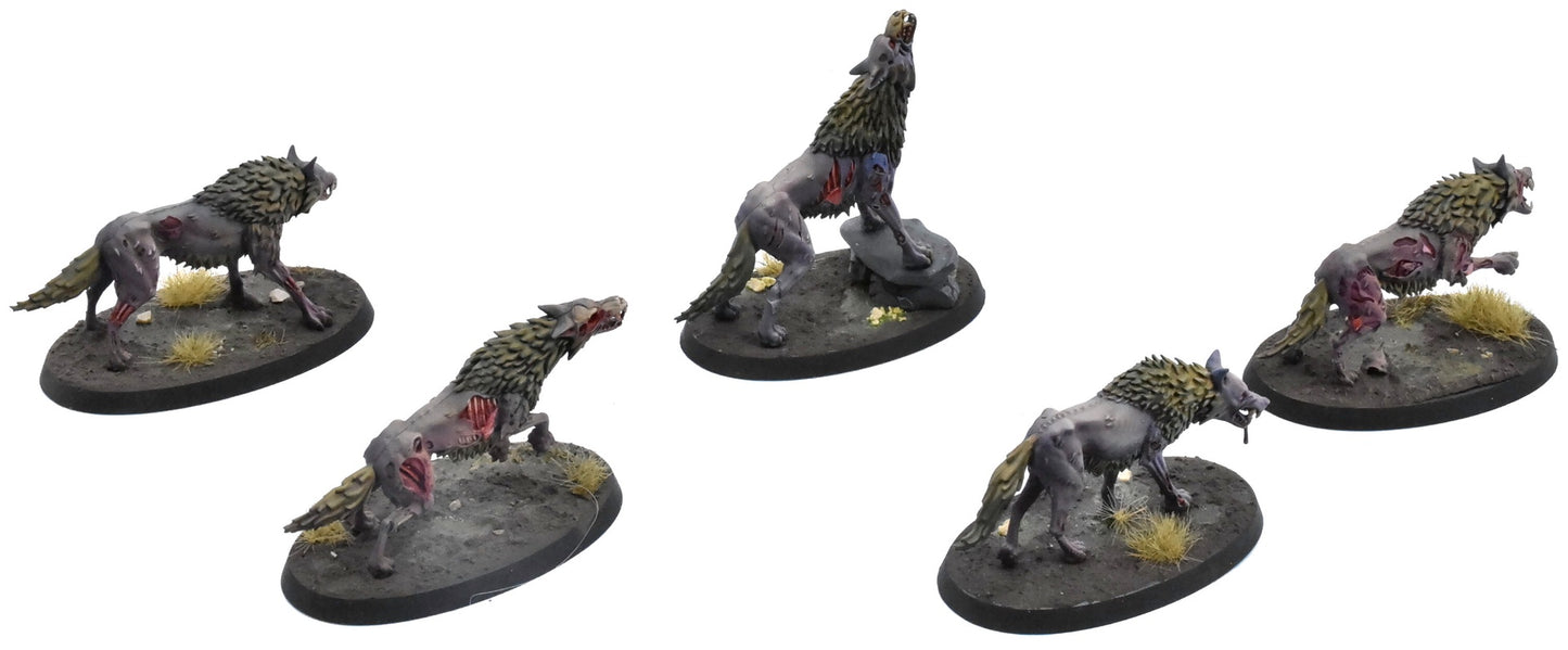 SOULBLIGHT GRAVELORDS 5 Dire Wolves #1 PRO PAINTED Sigmar 0766