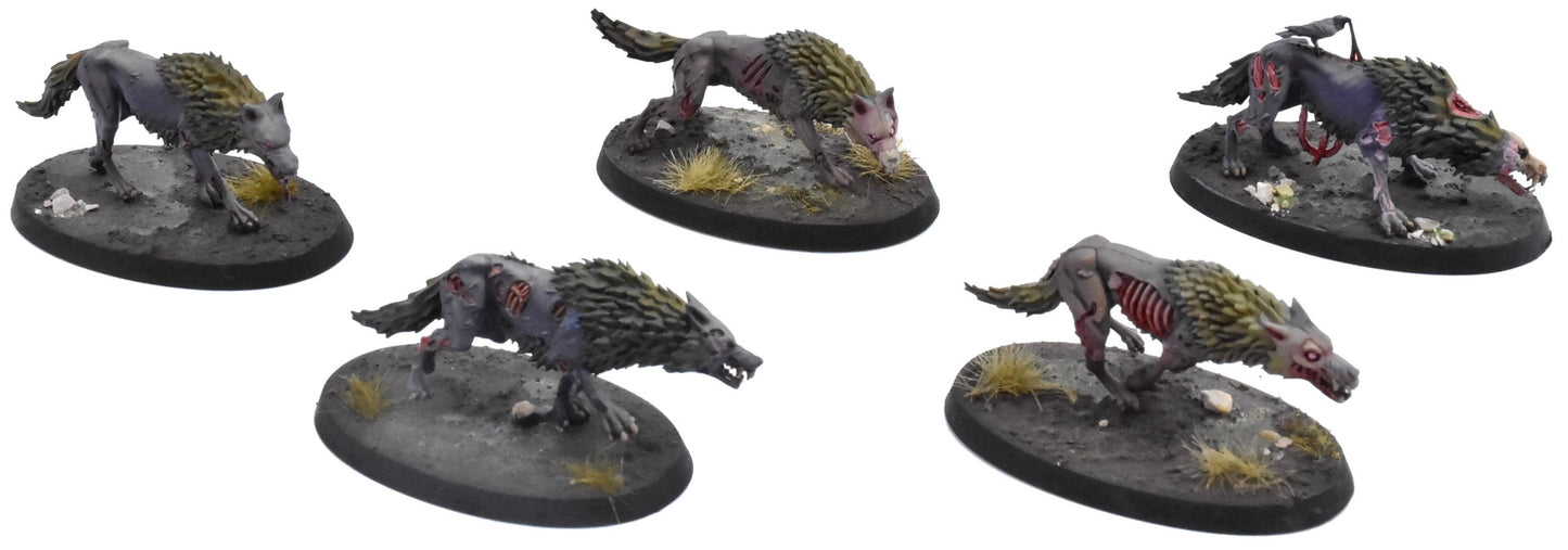 SOULBLIGHT GRAVELORDS 5 Dire Wolves #2 PRO PAINTED Sigmar 0773