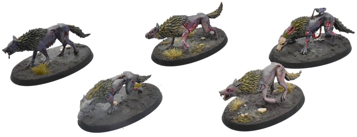 SOULBLIGHT GRAVELORDS 5 Dire Wolves #2 PRO PAINTED Sigmar 0773
