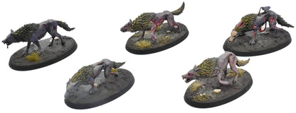 SOULBLIGHT GRAVELORDS 5 Dire Wolves #2 PRO PAINTED Sigmar 0773