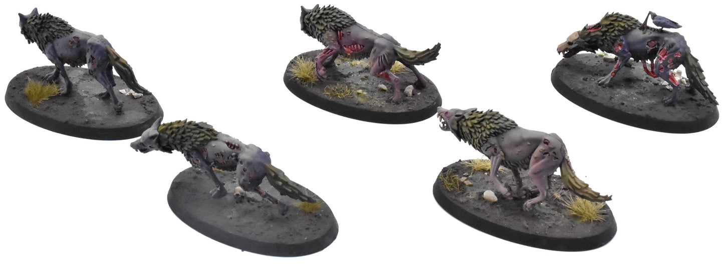 SOULBLIGHT GRAVELORDS 5 Dire Wolves #2 PRO PAINTED Sigmar 0773