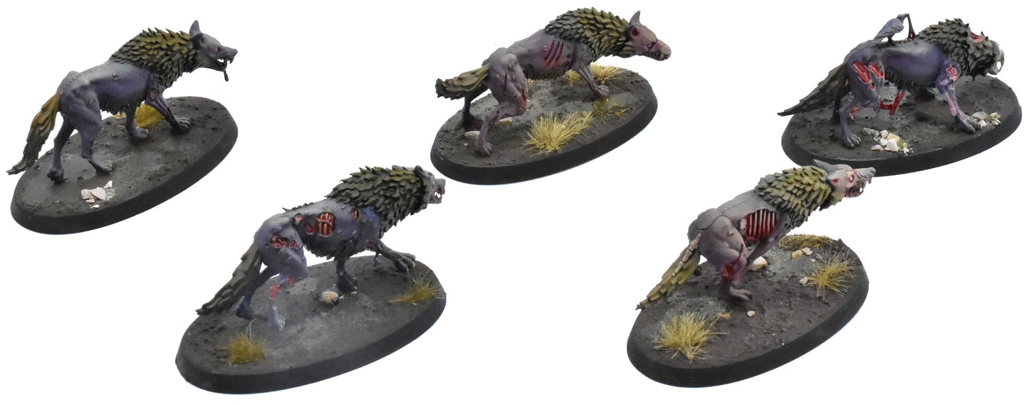 SOULBLIGHT GRAVELORDS 5 Dire Wolves #2 PRO PAINTED Sigmar 0773