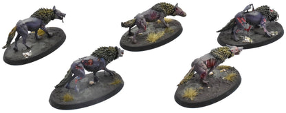SOULBLIGHT GRAVELORDS 5 Dire Wolves #2 PRO PAINTED Sigmar 0773