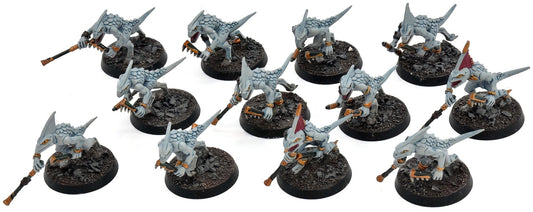 SERAPHON 12 Skinks #1 Warhammer Sigmar-0989 5991