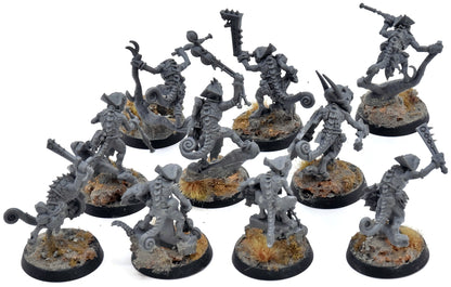 SERAPHON 10 Hunters Of Huanchi #2 Warhammer Sigmar 6028